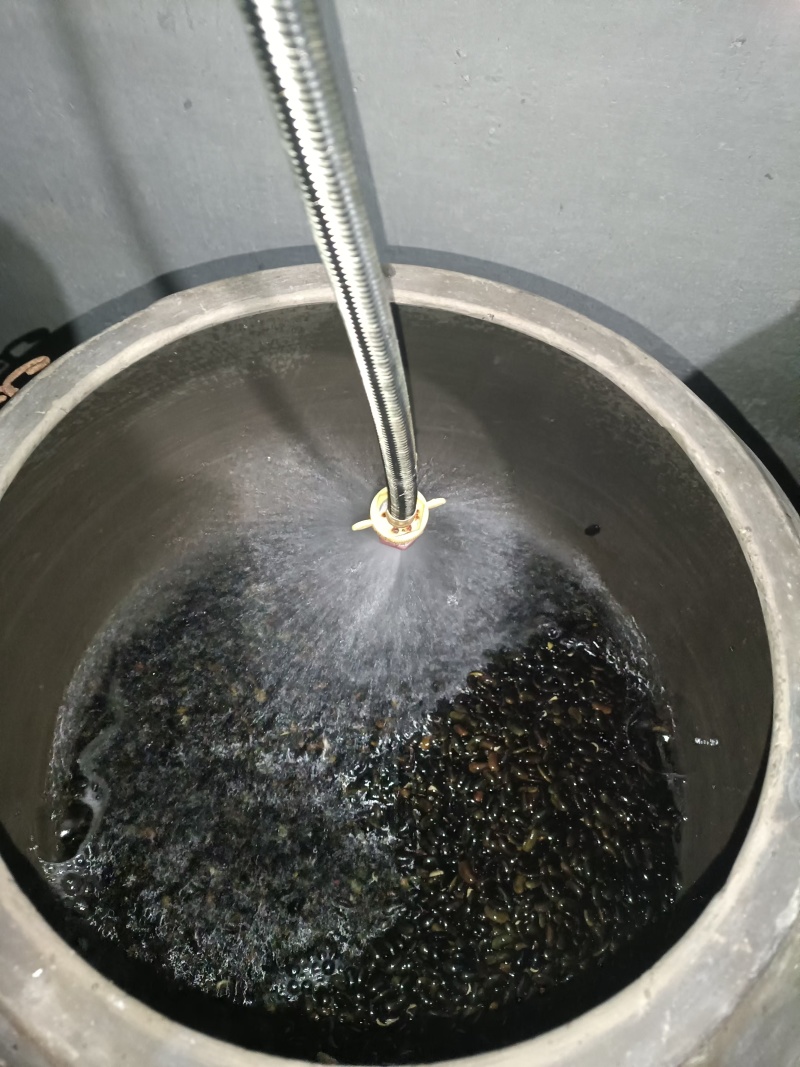 豆好香瓦罐豆芽，绿色健康，***豆芽。瓦罐豆芽自然生长。