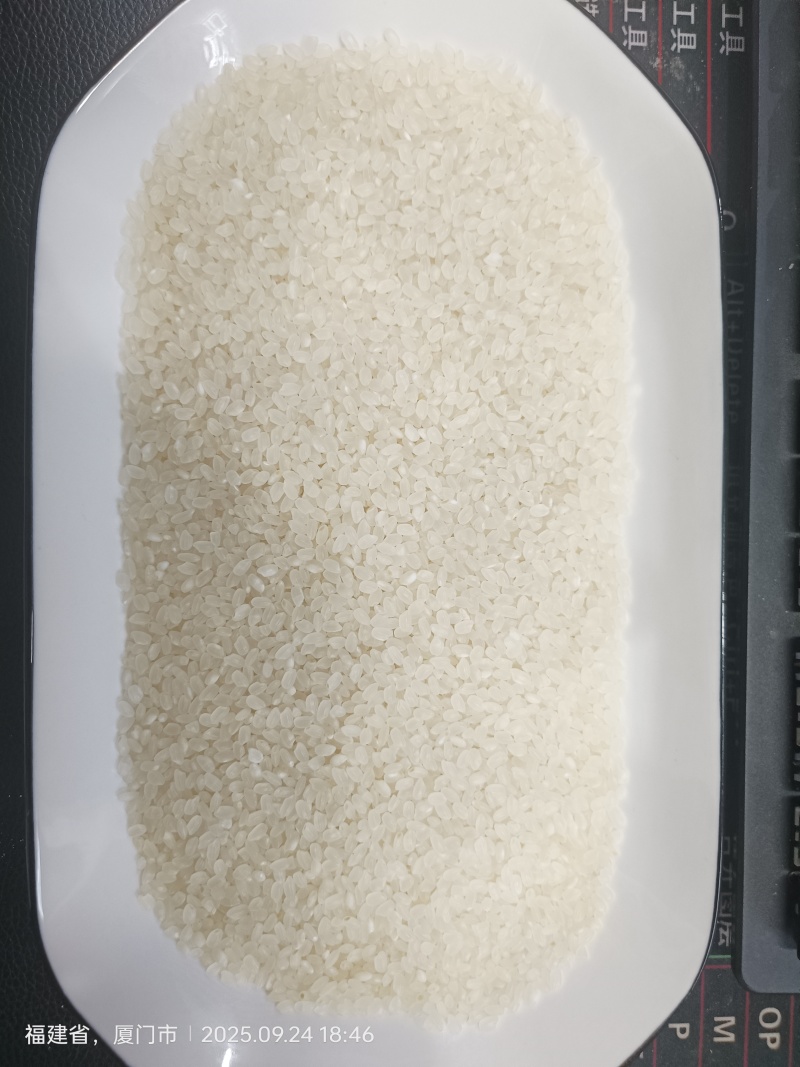新米上市1.89现货，沈阳直发