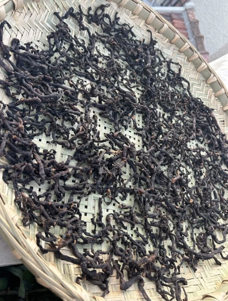 九蒸九晒玉竹制玉竹小玉竹批发颜色好大条完整无碎新货批发