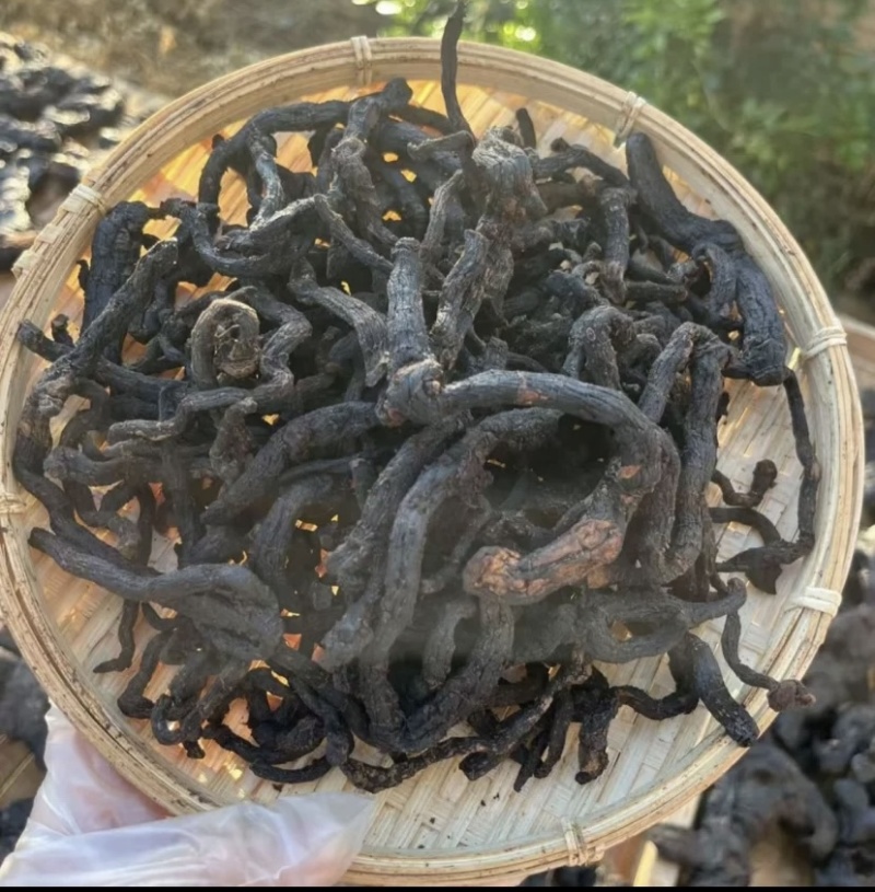 九蒸九晒玉竹制玉竹小玉竹批发颜色好大条完整无碎新货批发