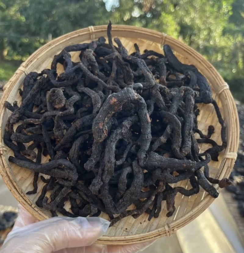 九蒸九晒玉竹制玉竹小玉竹批发颜色好大条完整无碎新货批发