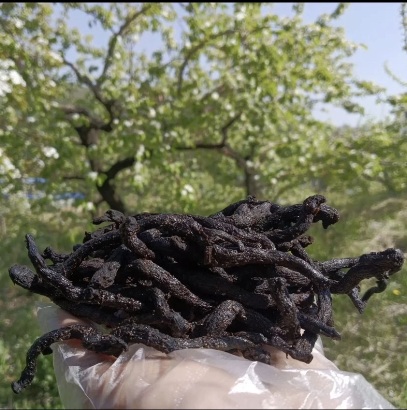 九蒸九晒玉竹制玉竹小玉竹批发颜色好大条完整无碎新货批发