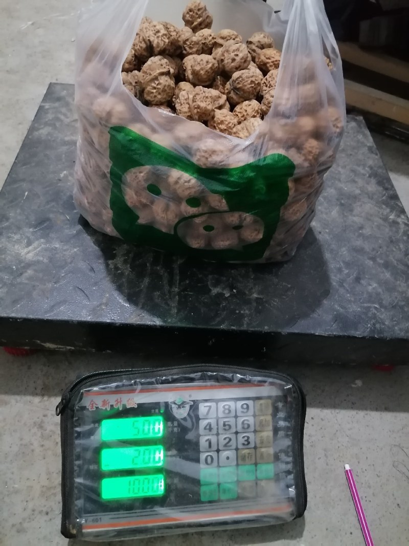 核桃