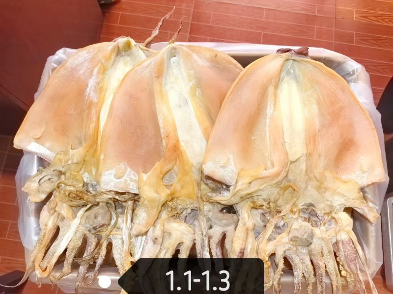 浙江特大盐干墨鱼