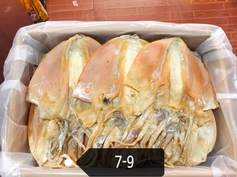 浙江特大盐干墨鱼