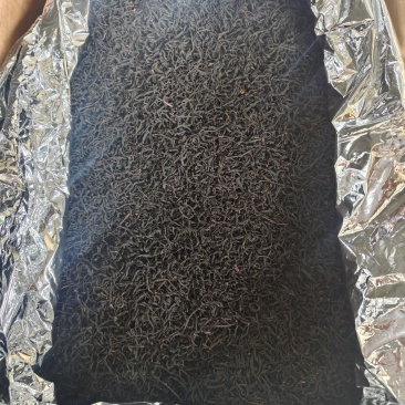 枇杷红茶