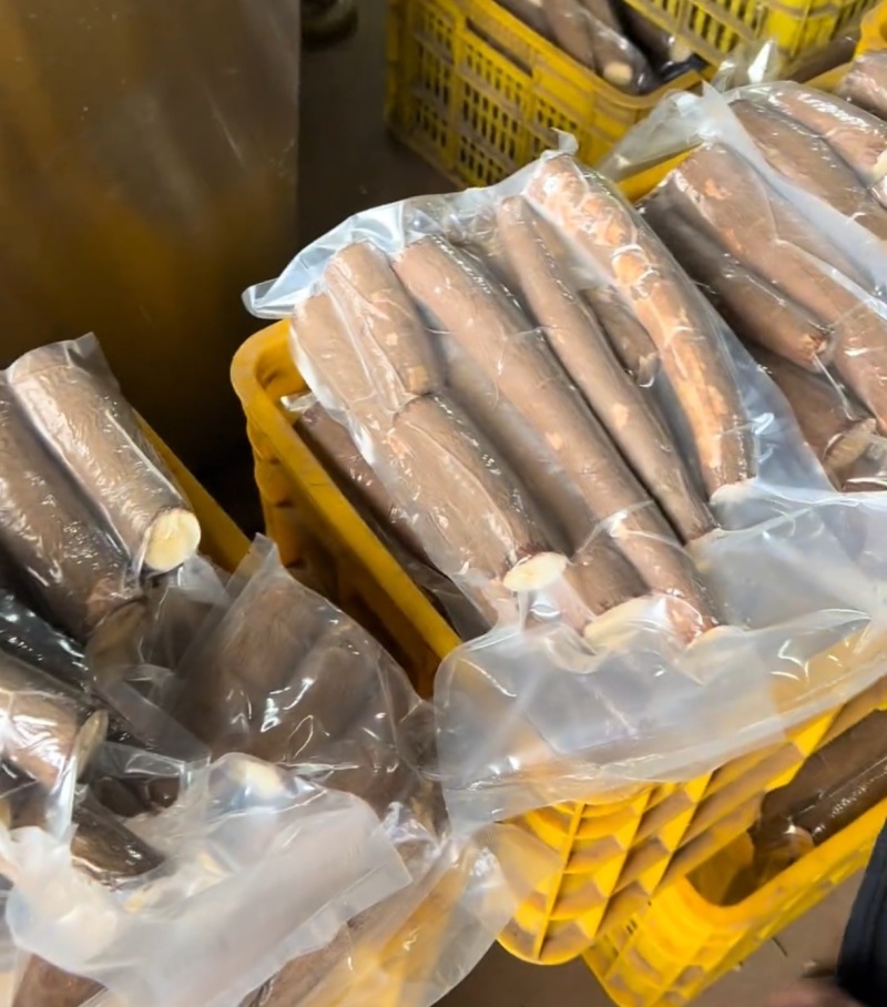 黄肉木薯广西木薯产地直发品质保障对接全国商超市场