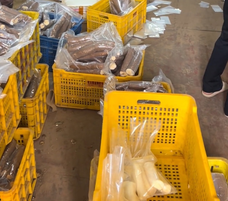黄肉木薯广西木薯产地直发品质保障对接全国商超市场