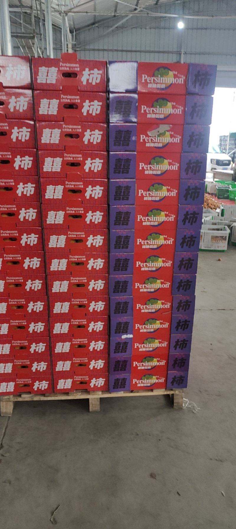 精品巧克力脆柿，一手货源，产地直发，实力商家，电商，团购