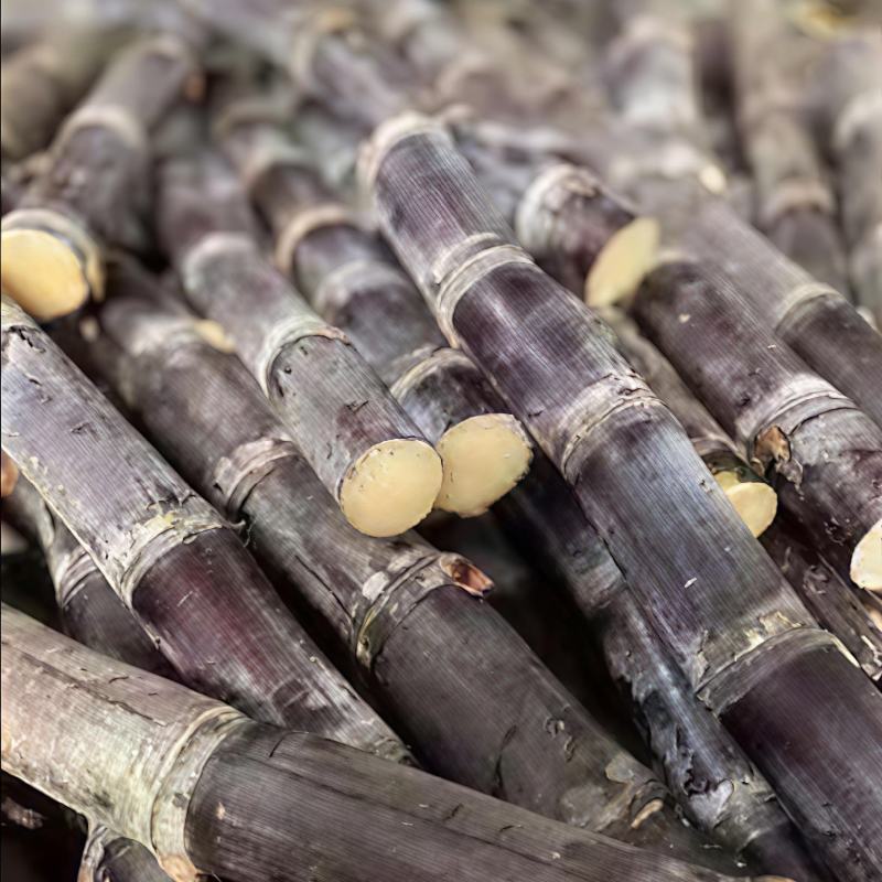 黑皮甘蔗大量上市，产地发货价格美丽量大