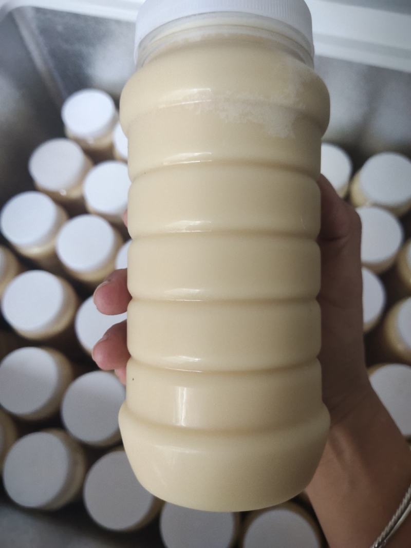 大量蜂蜜，量大从优