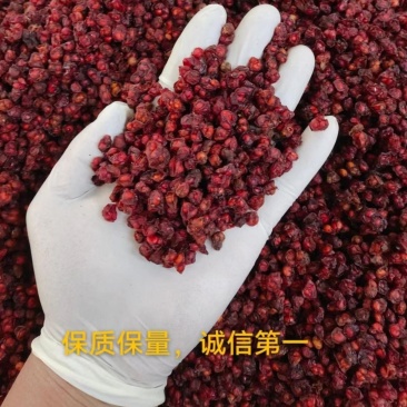 五味子辽五味北五味子