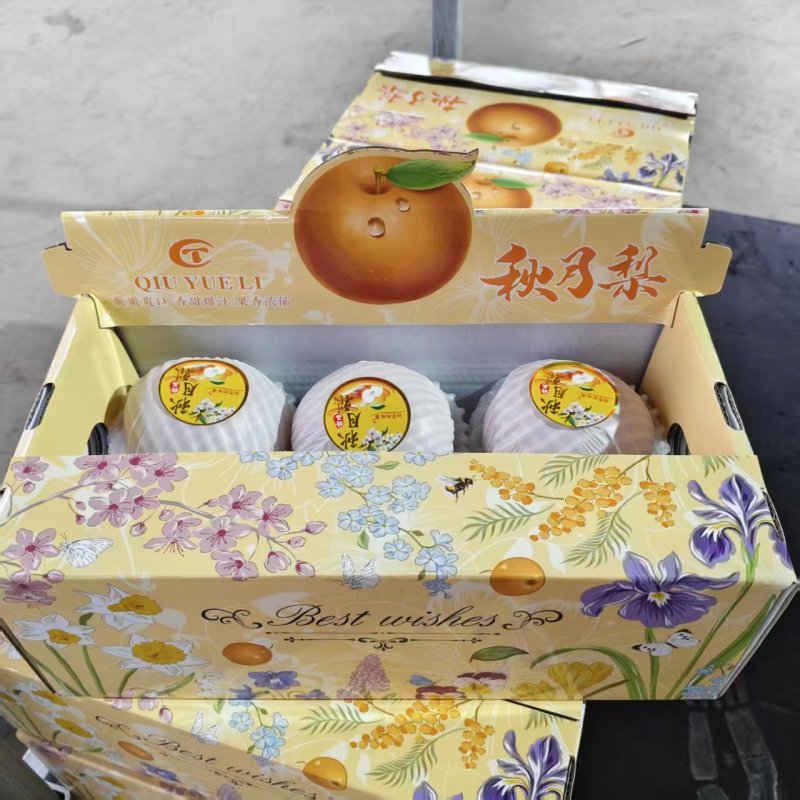 秋月梨/个头大，口感甜/湖北襄阳宜城区基地大量上市