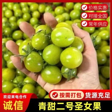 青甜二号圣女果精选绿色小番茄山东寿光产地直发量大从优
