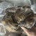 牛肉熟牛肉卤牛肉牛腱子肉全熟牛肉无需加工真空包装