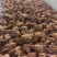 牛肉熟牛肉卤牛肉牛腱子肉全熟牛肉无需加工真空包装