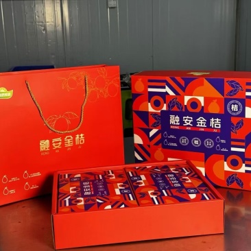 广西柳州融安滑皮金桔脆蜜金桔自家果园直采批发大量上市