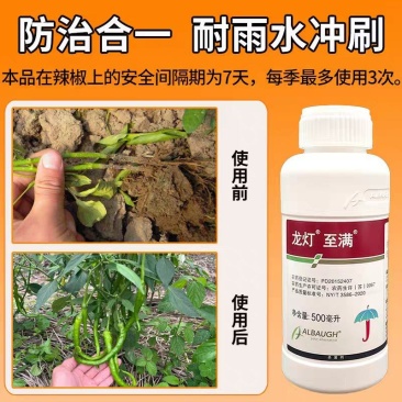 龙灯至满50%氟啶胺辣椒疫病烂果杀菌剂