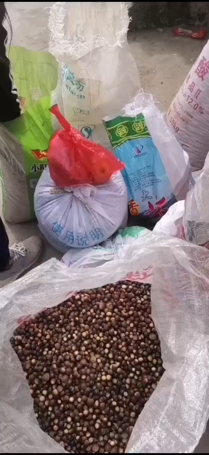 云南野生小板栗大山深处的坚果，皮薄肉厚，香甜可口。