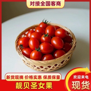 靓贝圣女果山东寿光小番茄优质圣女果货量充足