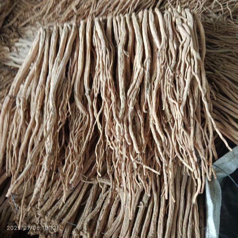 甘肃陇西白条党参质量保证货源充足欢迎咨询