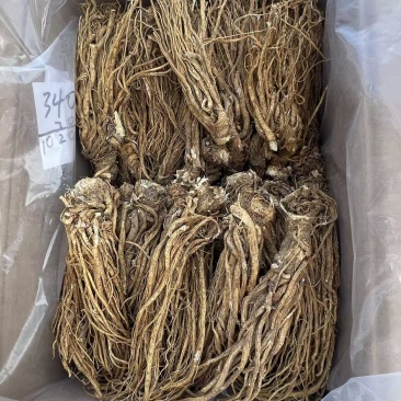甘肃岷县川当归大小统装货