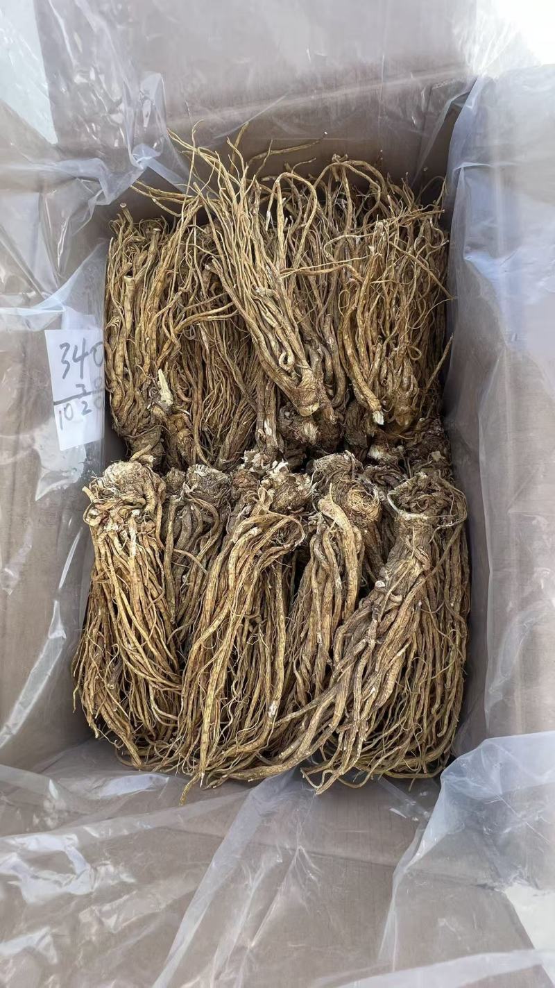 甘肃岷县川当归大小统装货