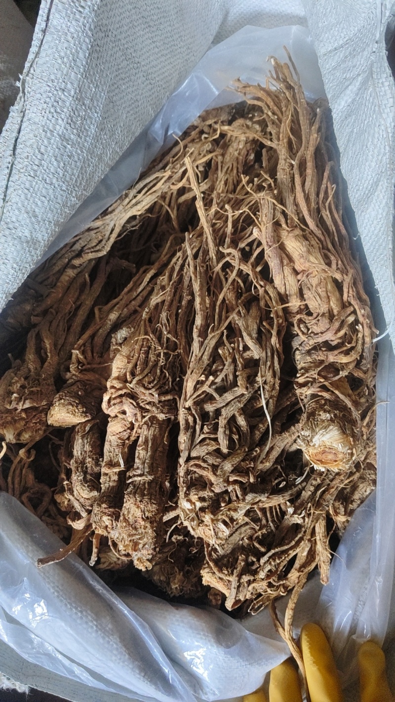 甘肃岷县川当归大小统装货