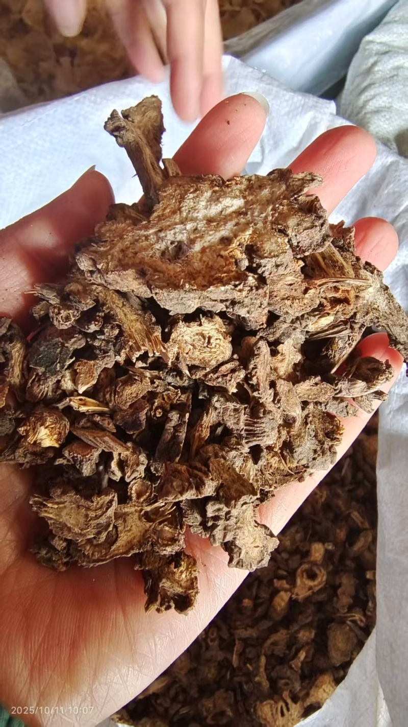 藁本辽藁本各种规格2斤包邮量大优惠