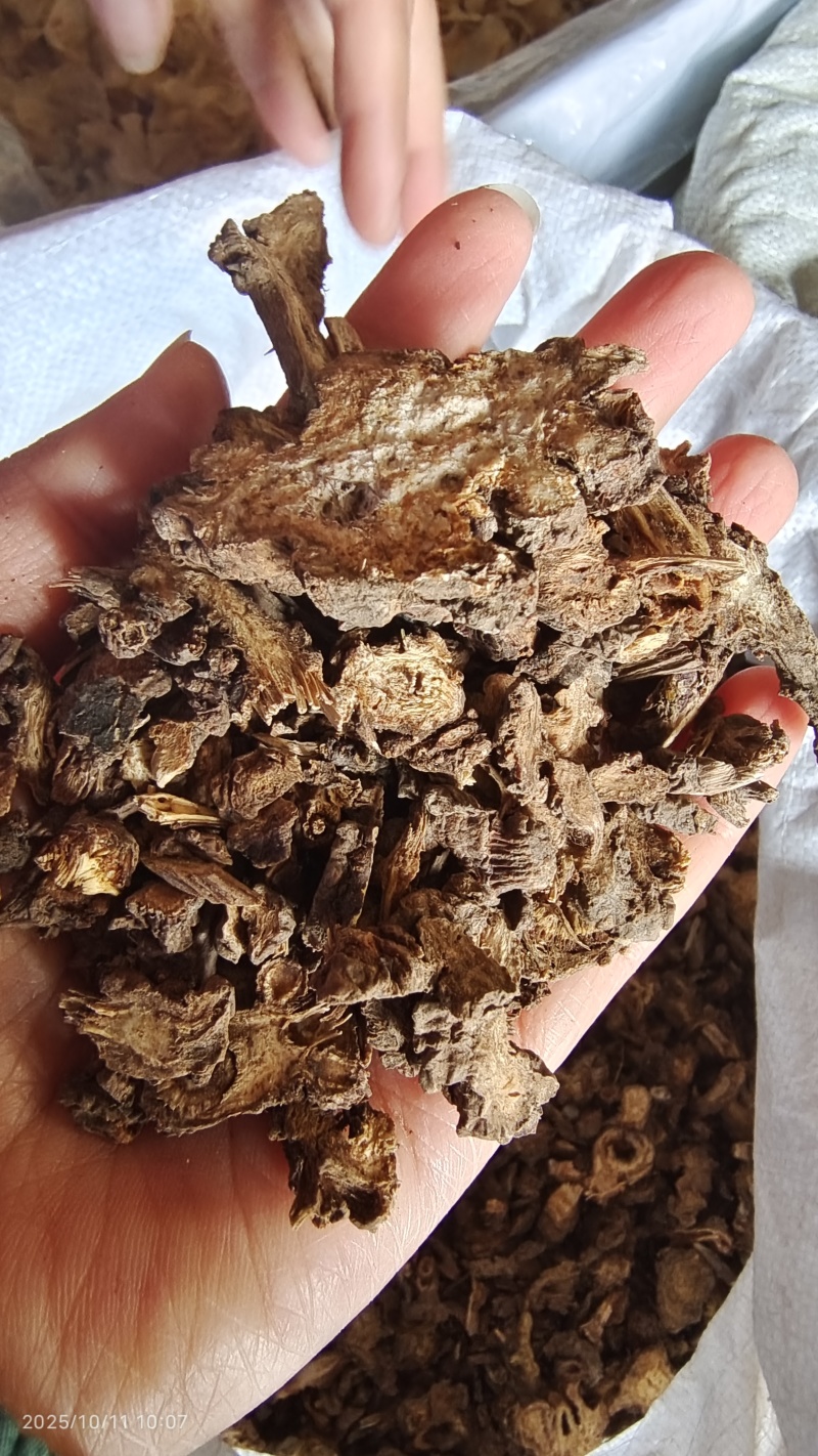 辽藁本各种规格2斤包邮量大优惠