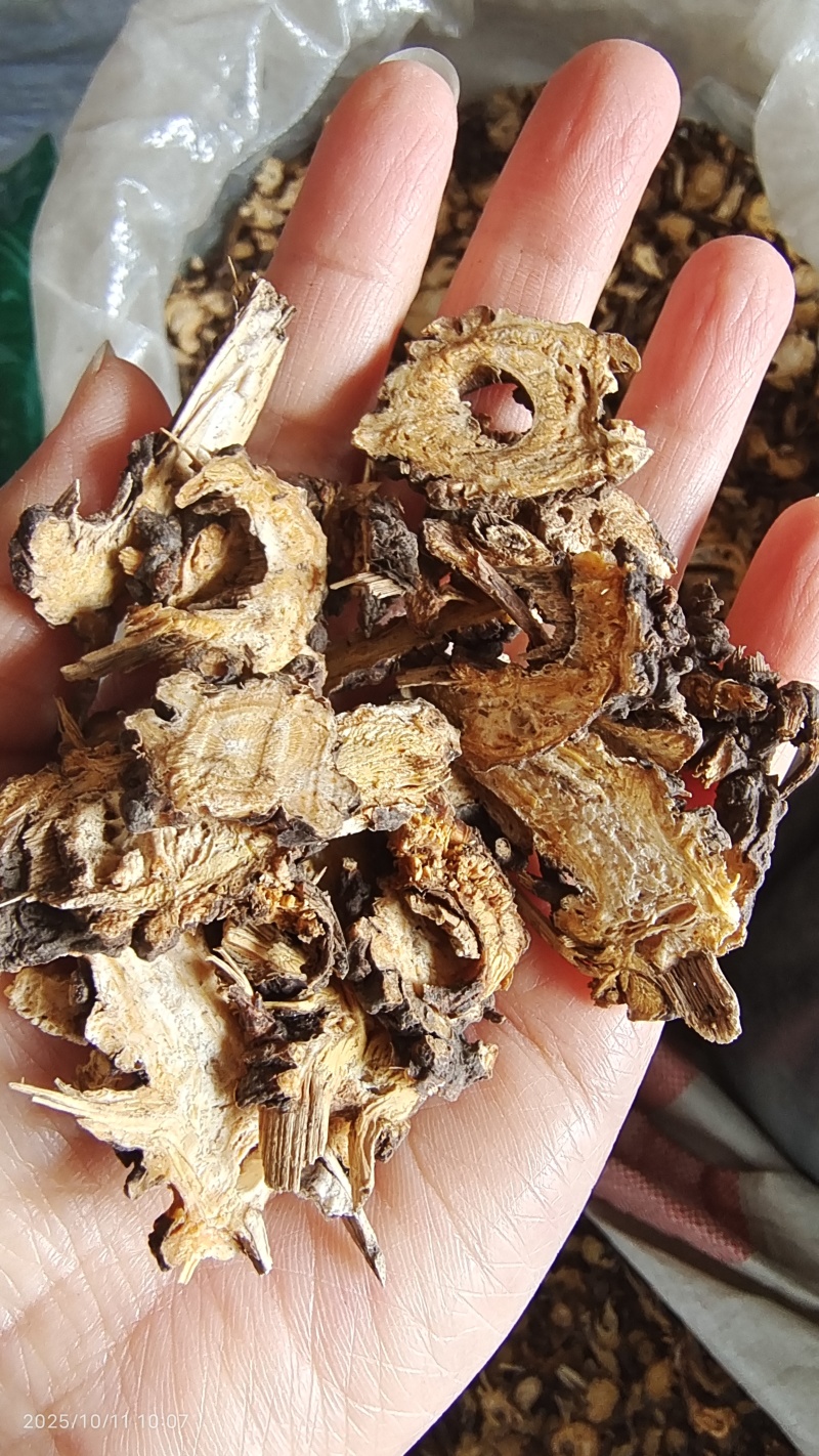辽藁本各种规格2斤包邮量大优惠