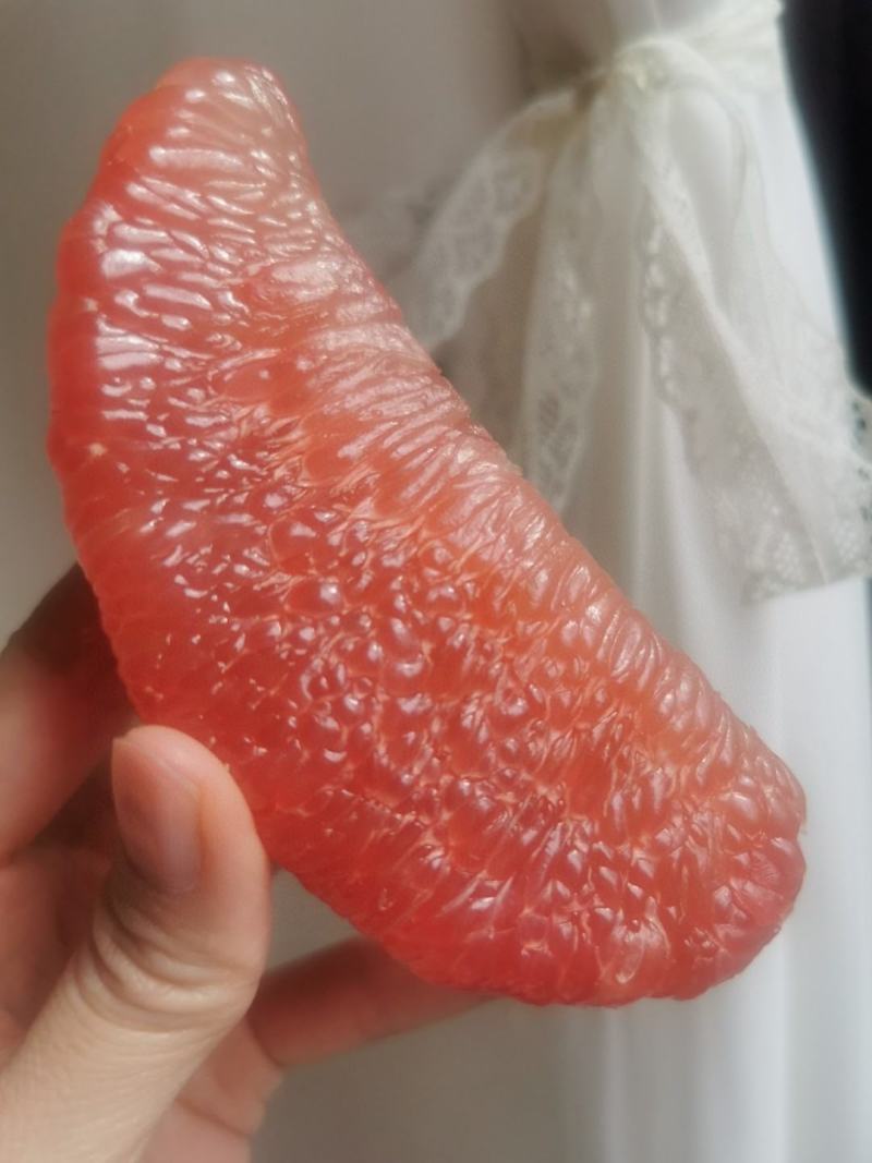 福建平和蜜柚
