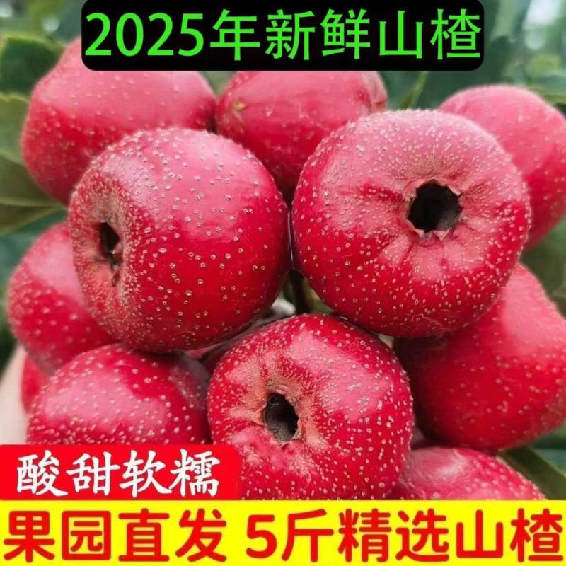 大金星山楂代购