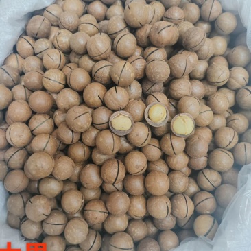 夏威夷果
