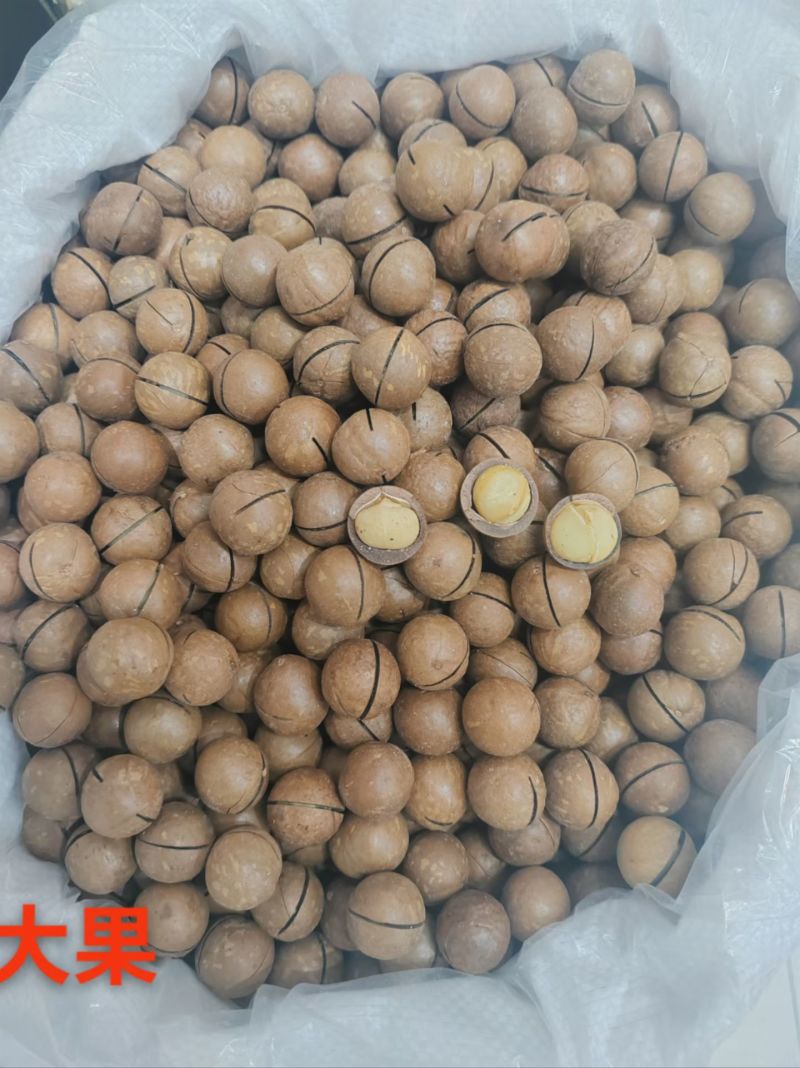 夏威夷果