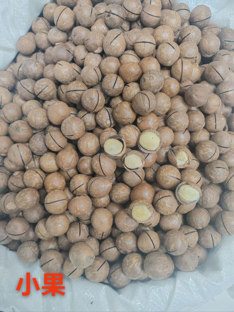 夏威夷果