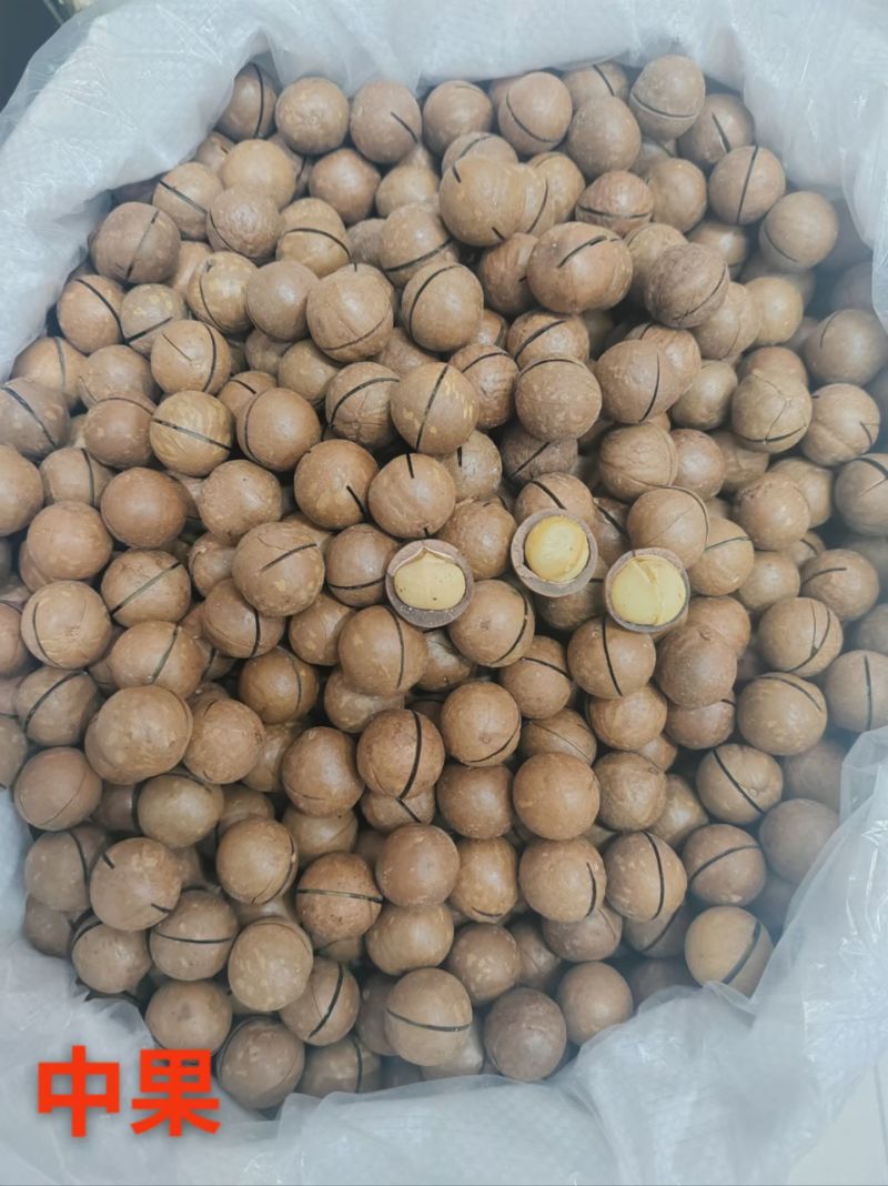 夏威夷果