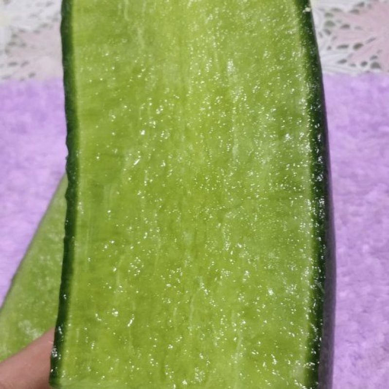 天津市西青区沙窝罗卜