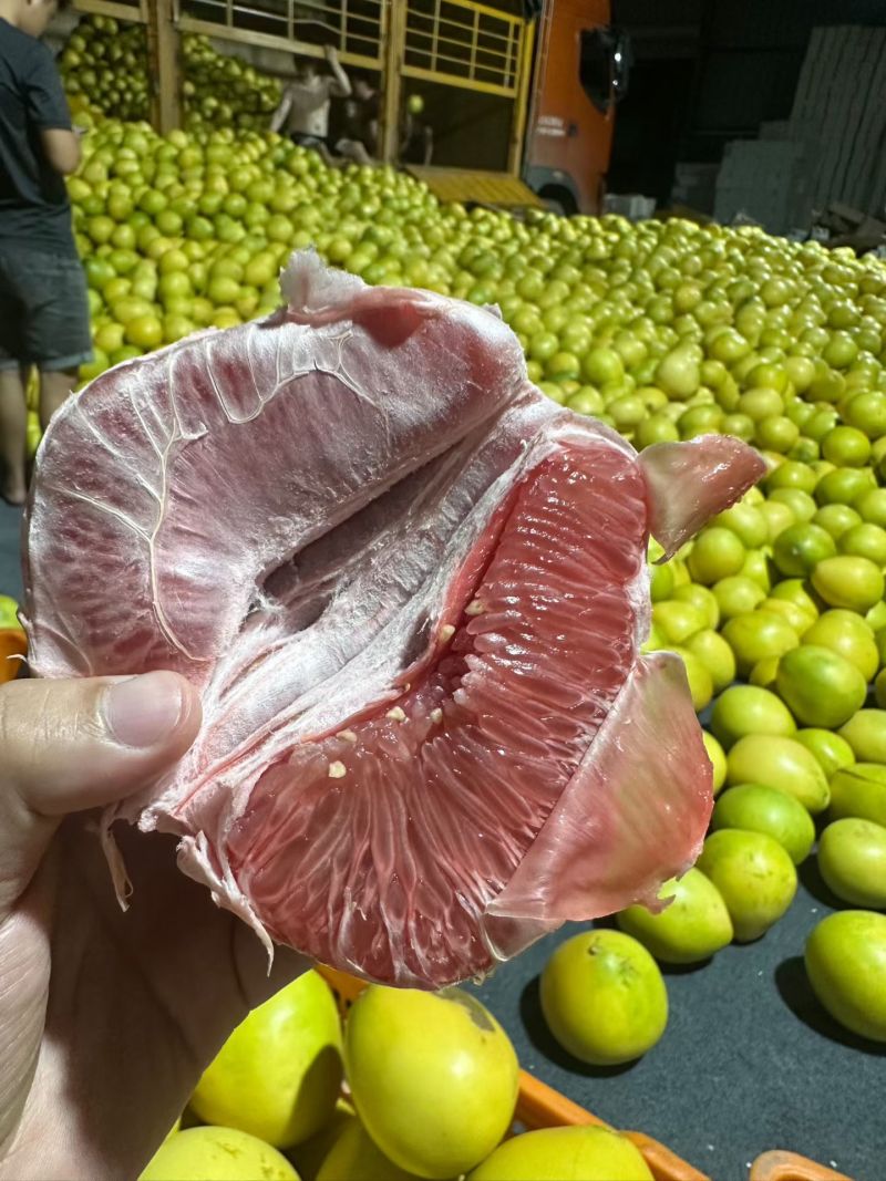 【平和蜜柚/红心柚】产地现摘/皮薄肉厚/对接批发商超电商