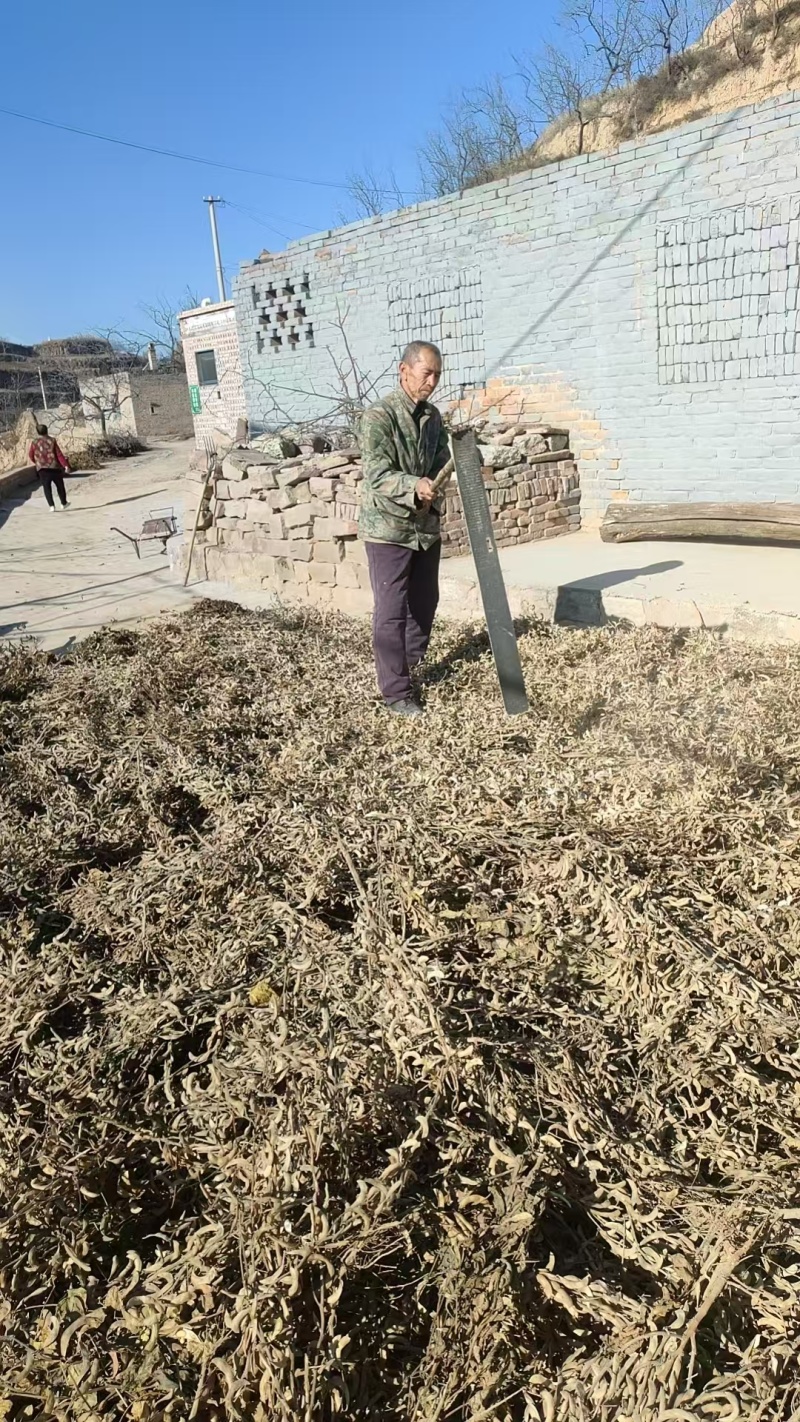 黄豆，通货，精品，一级货都有，产地直销，欢迎各位老板咨询
