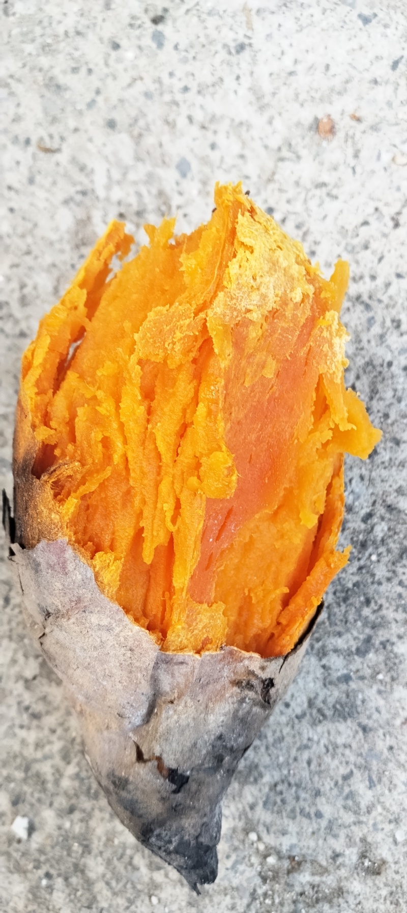 六鳌红薯/湖南娄底红薯/农家自种/当天发货