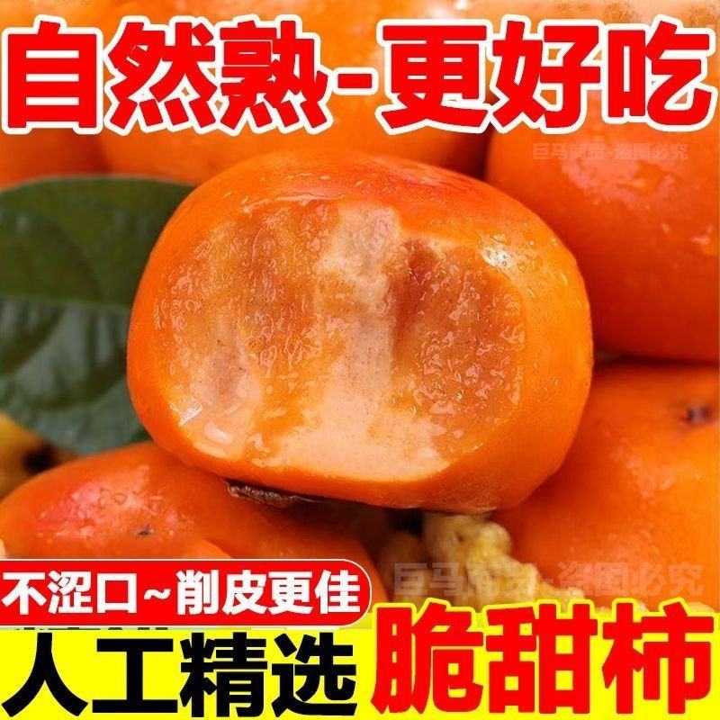 当季脆甜冰糖心巧克力柿子无核硬黄柿水果整箱批发