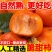 当季脆甜冰糖心巧克力柿子无核硬黄柿水果整箱批发