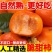 脆柿子巧克力柿子脆甜新鲜应季水果现摘脆皮硬黄阳丰柿子整箱
