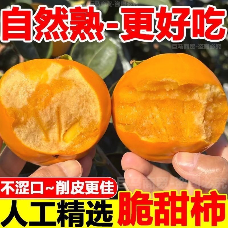 脆柿子巧克力柿子脆甜新鲜应季水果现摘脆皮硬黄阳丰柿子整箱