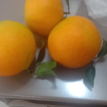 爱援