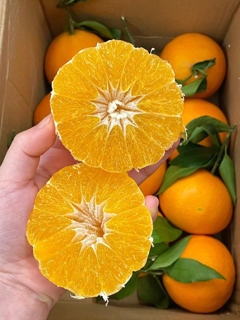 爱媛橙果冻橙皮薄汁多产地直发口感好