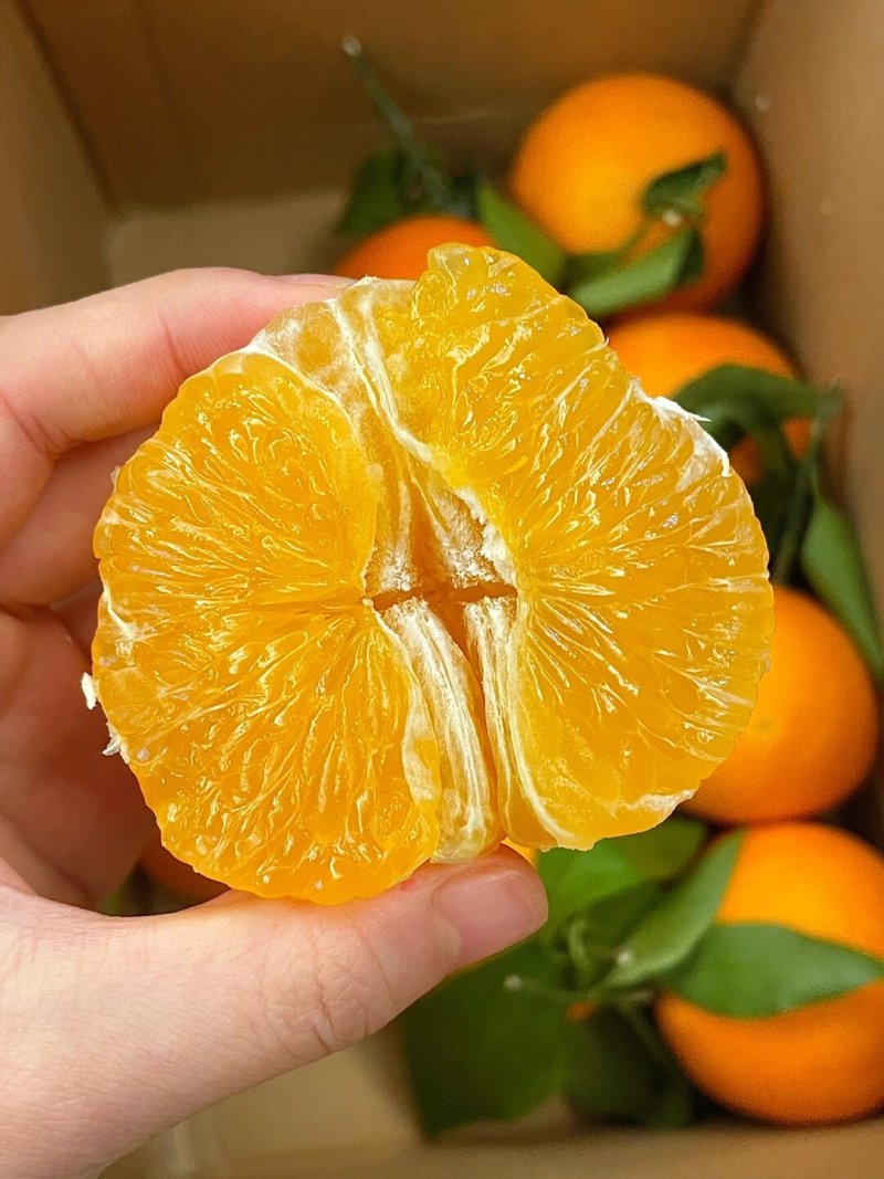 爱媛橙果冻橙皮薄汁多产地直发口感好