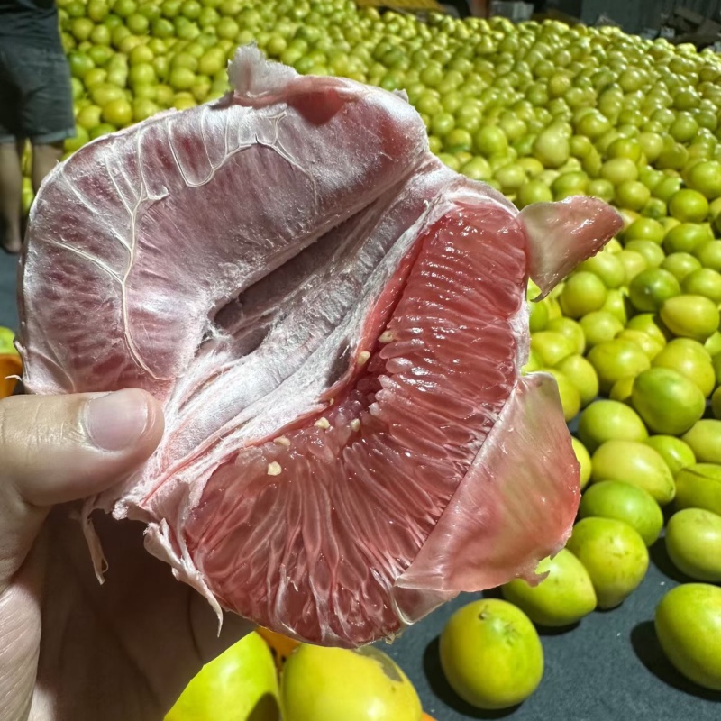 福建红心蜜柚/果大皮薄水分充足/酸甜可口/现摘现发