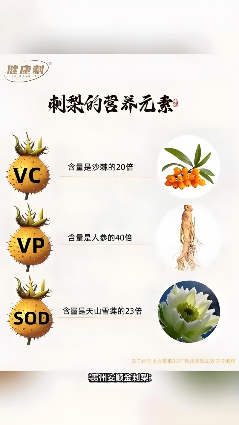 50ml*10支50ml*12支可定制其他规格